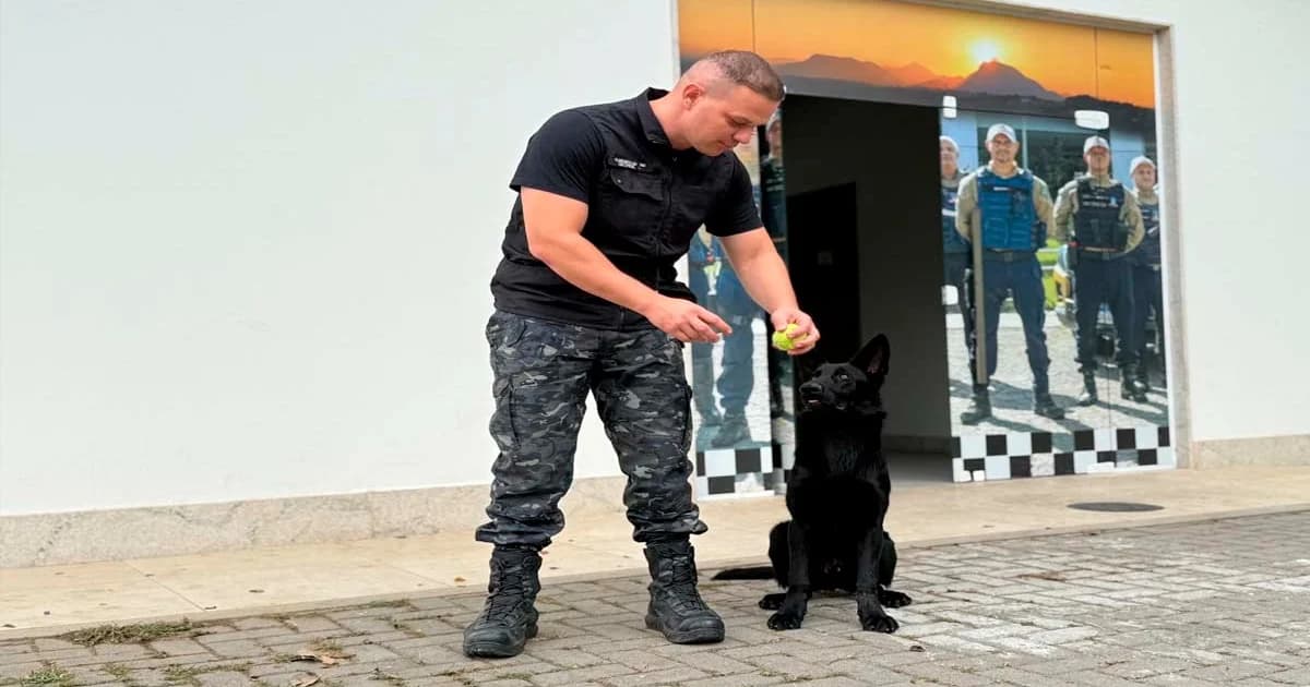 Filhote Canino em Treinamento: Novo Aliado na Segurança de Cariacica
