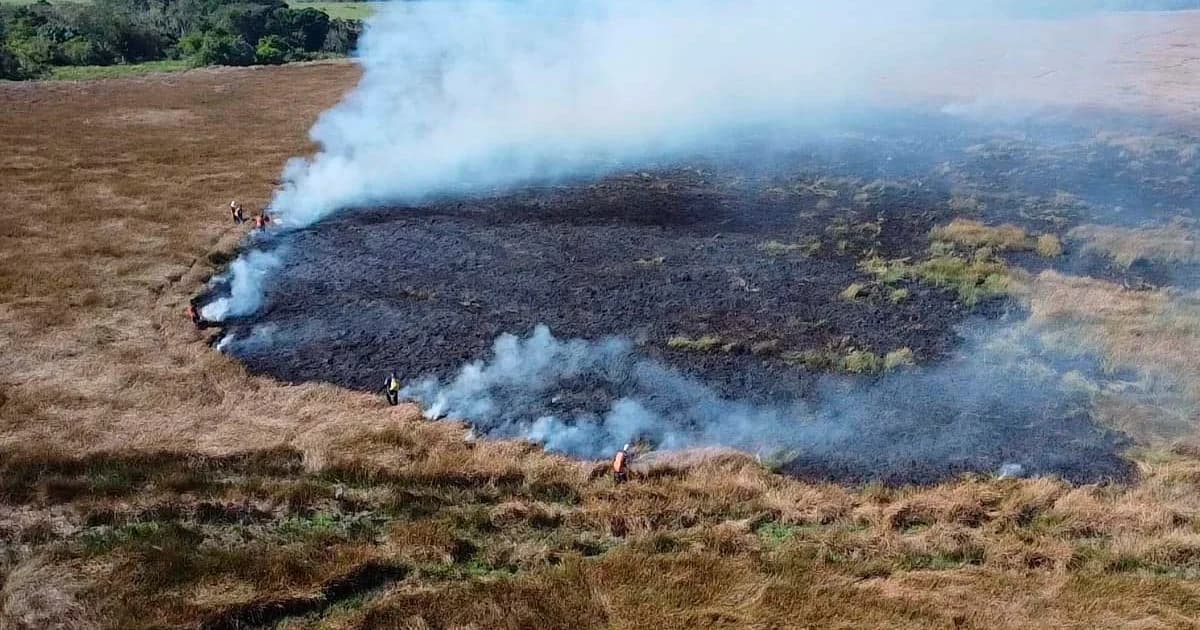 Incêndio Florestal Devasta Região e Afeta Qualidade do Ar em Marataízes