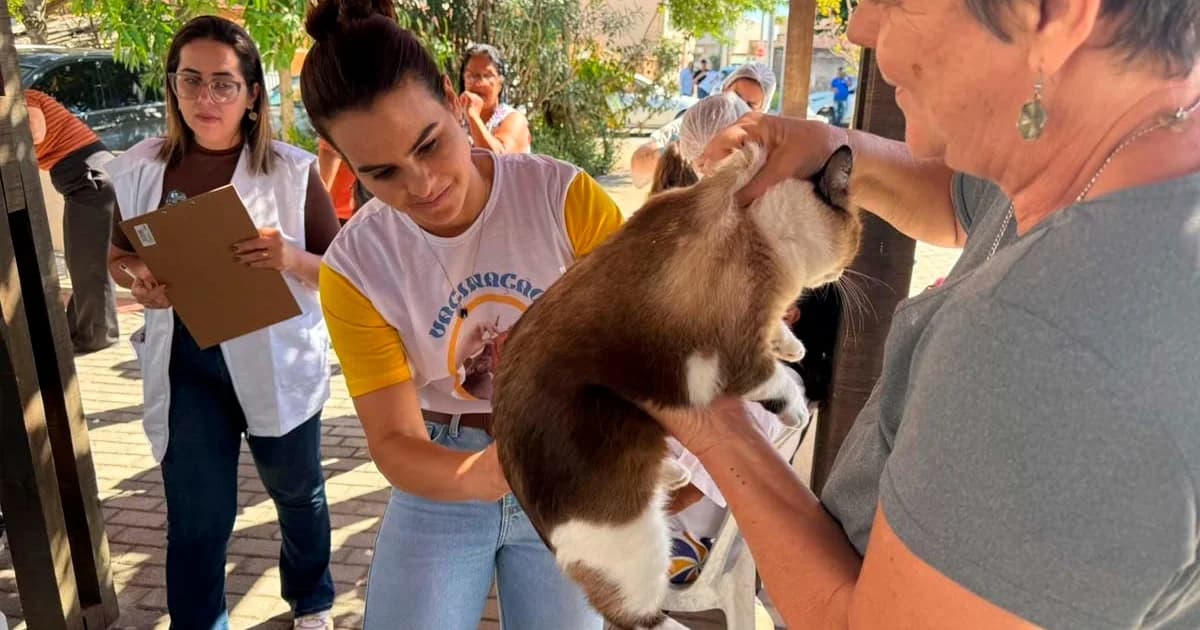 Marataízes Amplia Proteção Animal com Atendimento Veterinário e Castração Contínuos