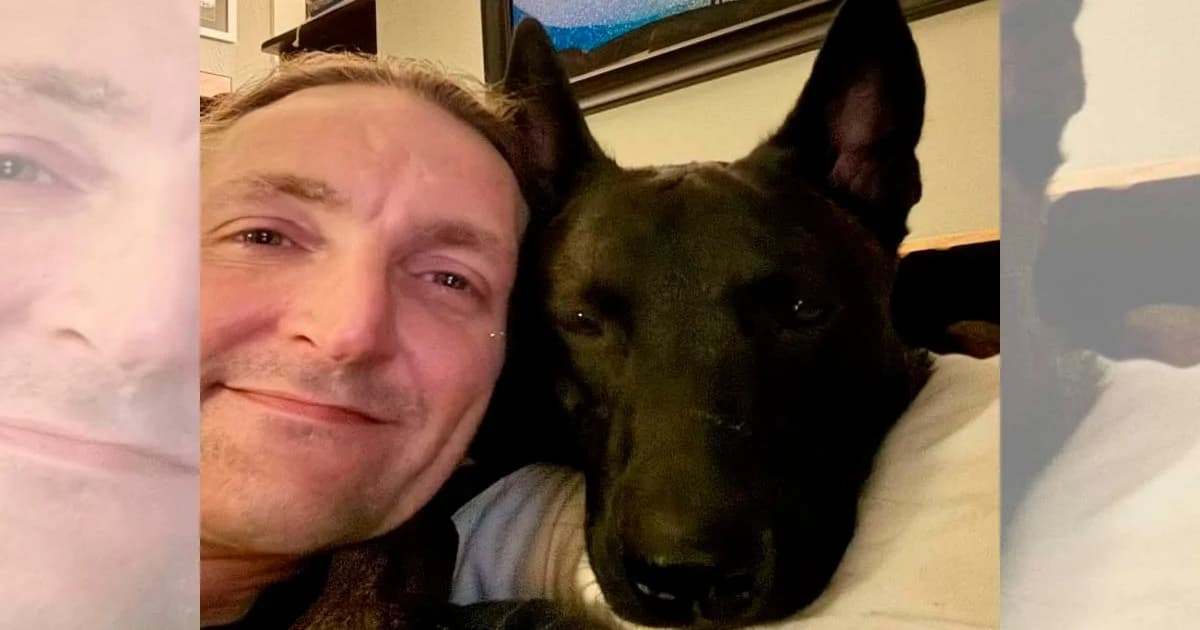 Cão de Serviço Sob Fogo Cruzado: Eutanásia em Disputa Judicial
