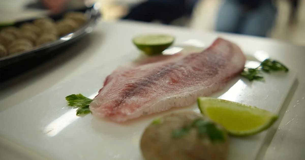 Piúma Promove Culinária de Pescados com Foco em Sustentabilidade e Renda