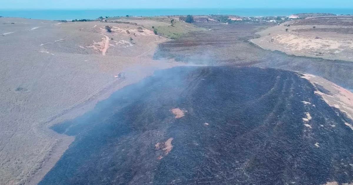 Incêndios Florestais Ameaçam Áreas Naturais em Marataízes