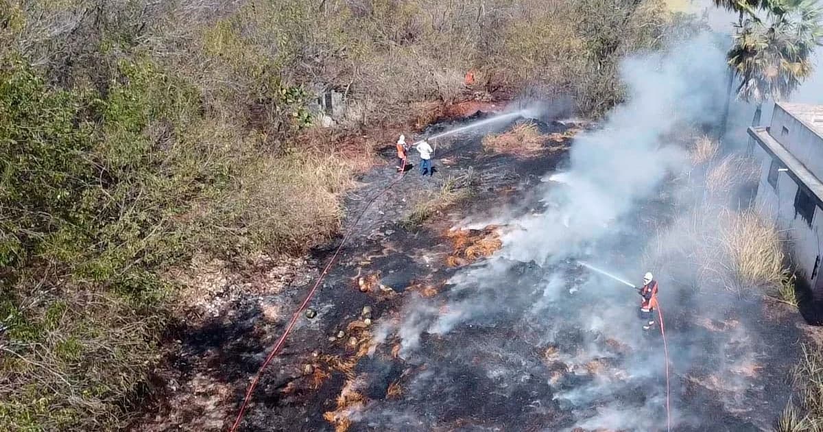 Incêndio em Vegetação Ameaça Área Preservada em Marataízes