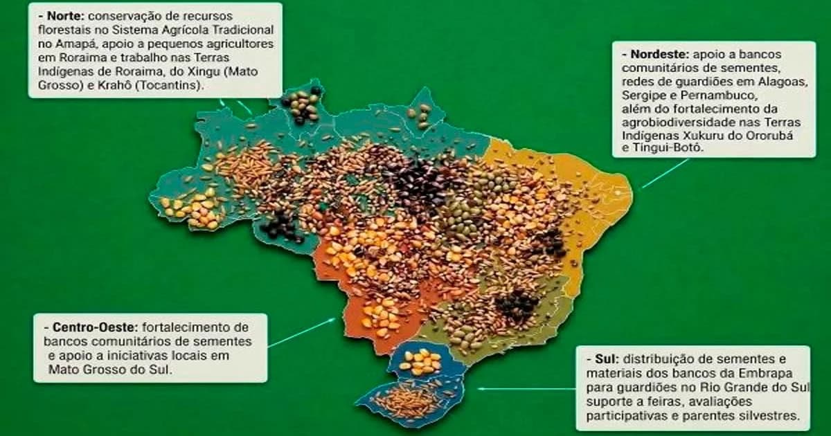 Projeto Brasileiro de Conservação de Sementes Ganha Destaque na ONU