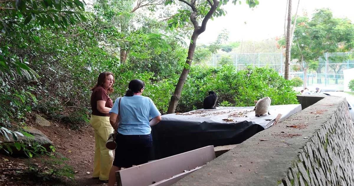 Irregularidades Graves Reveladas em Parque Capixaba