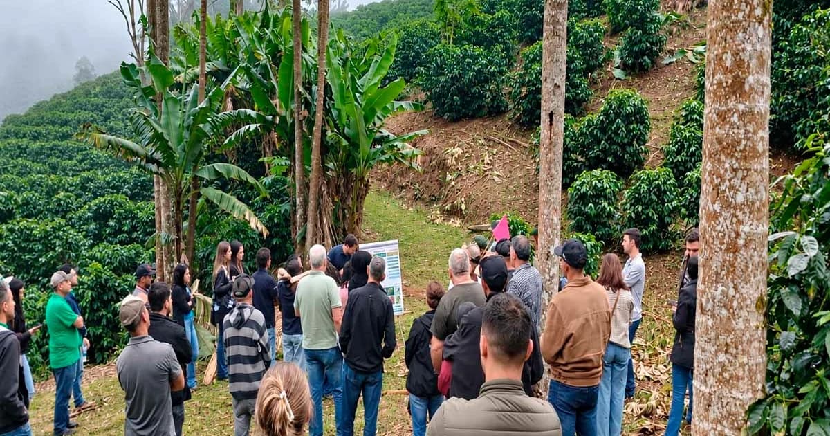 Cafeicultura Regenerativa: Espírito Santo Avança com Práticas de Solo e Clima