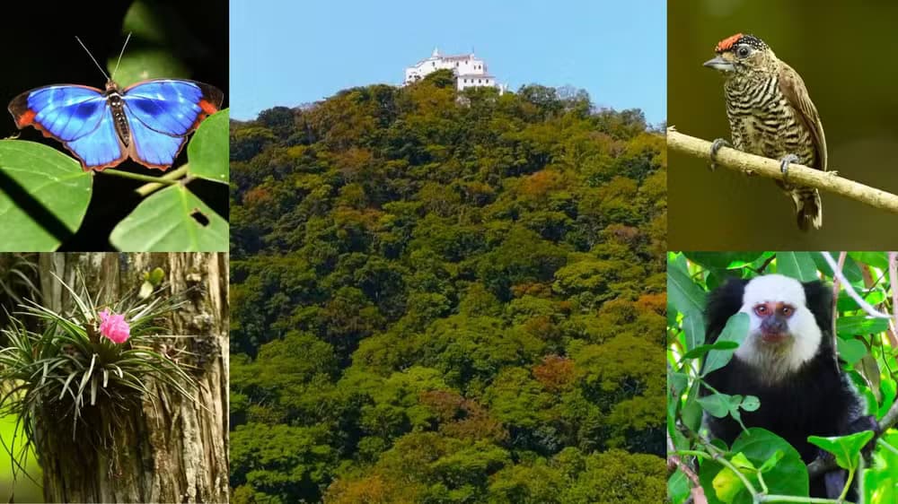 Convento da Penha: Um Santuário de Fé e Biodiversidade