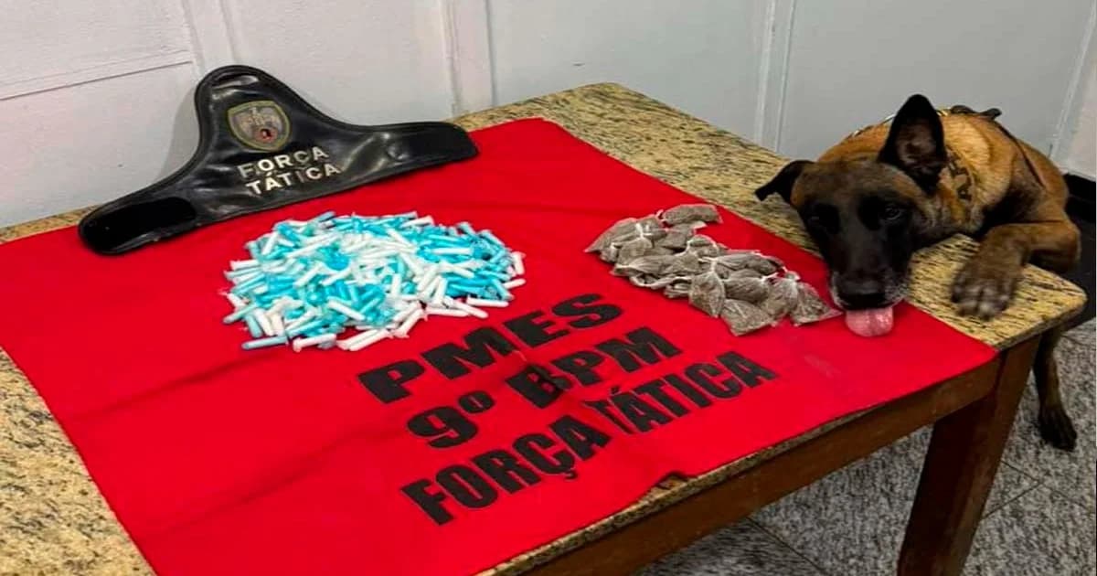 Mega Apreensão de Drogas em Cachoeiro: Cão Farejador é Destaque