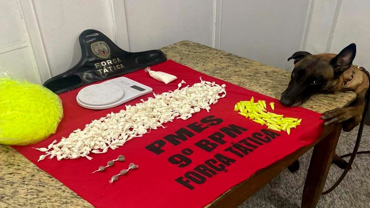 Cão farejador ajuda polícia a encontrar drogas em beco de Cachoeiro