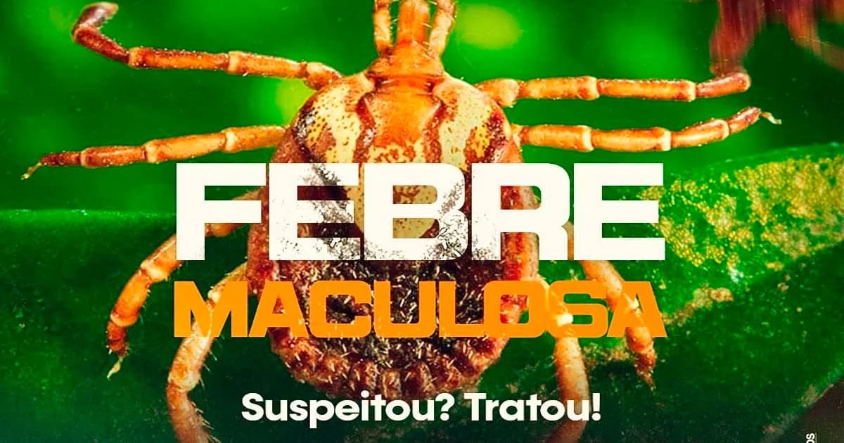 Alerta Grave: Prefeitura de Alegre Mobiliza População Contra Febre Maculosa