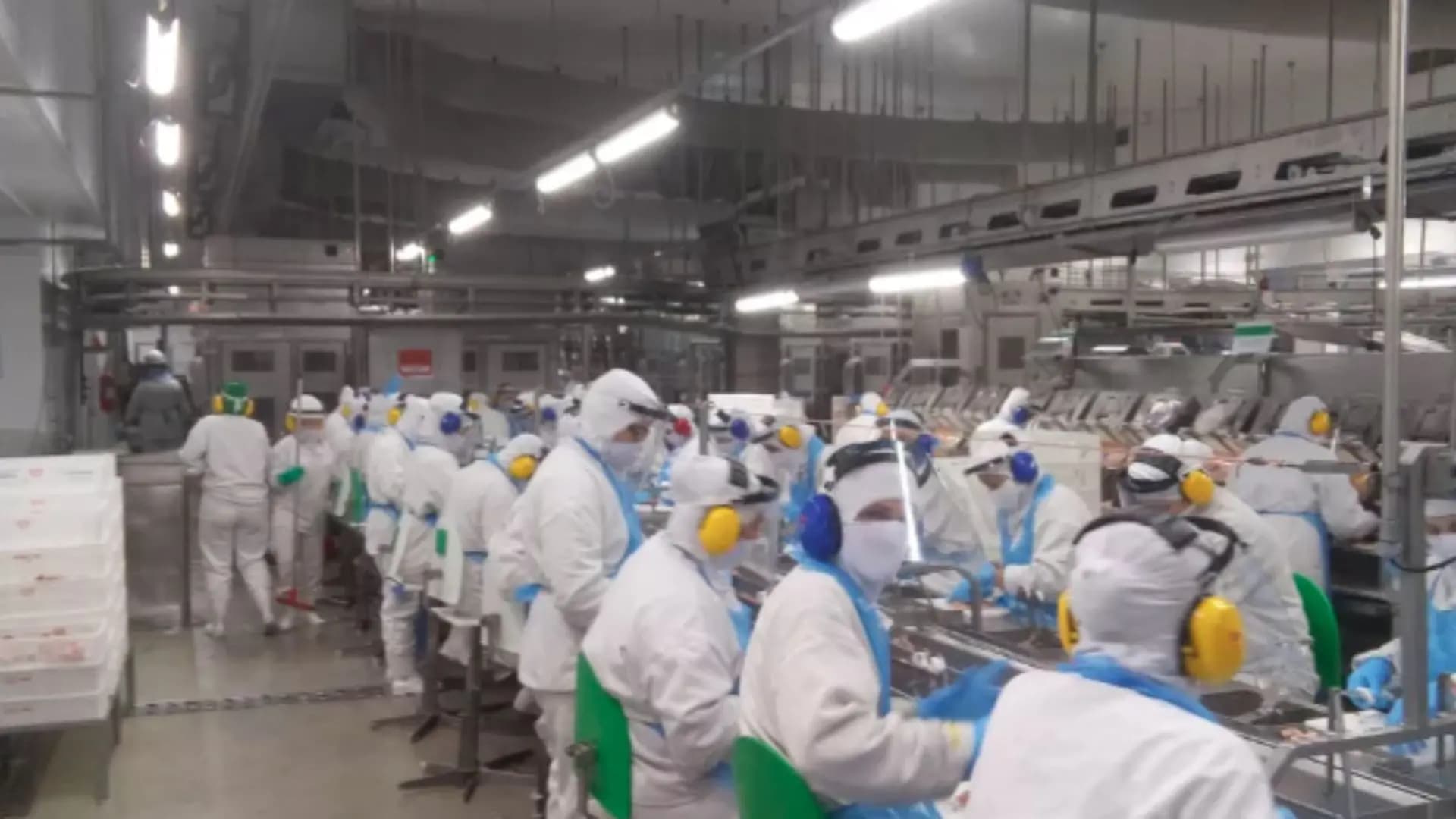 Justiça Trabalhista Impõe Restrições a Frigoríficos por Jornadas Excessivas no ES