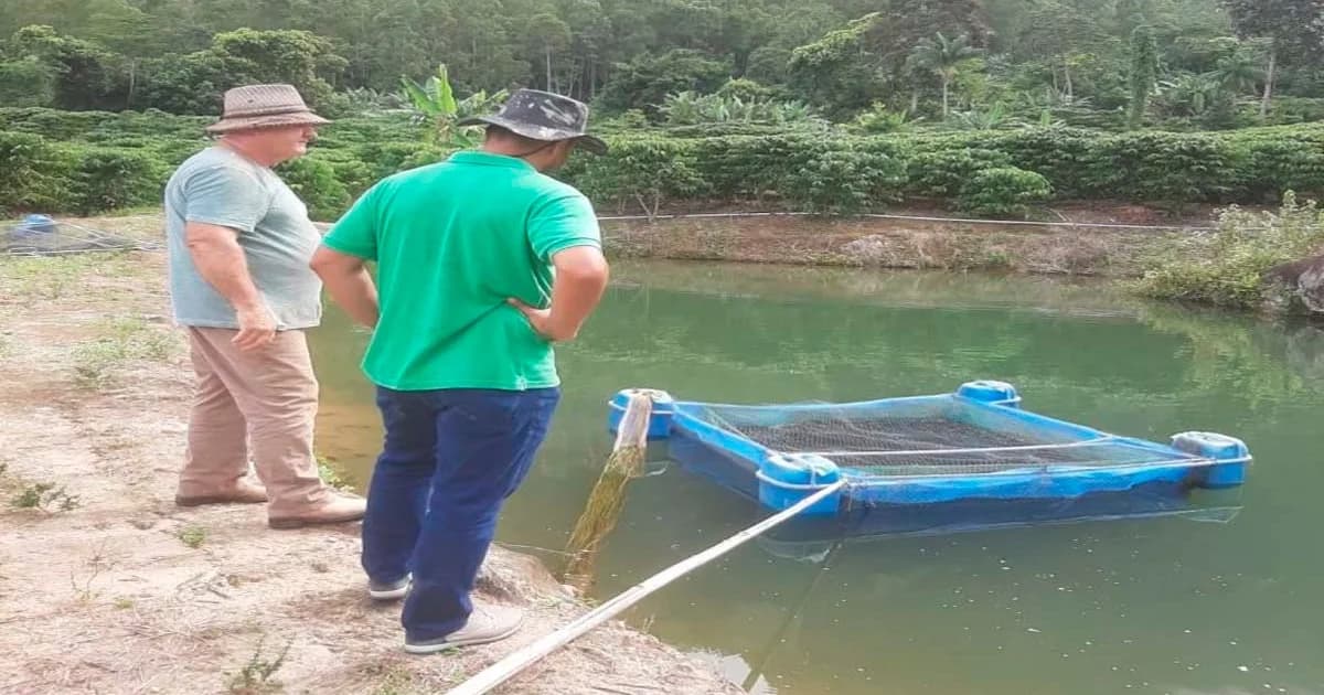 Cachoeiro Impulsiona Piscicultura com Suporte Técnico e Científico