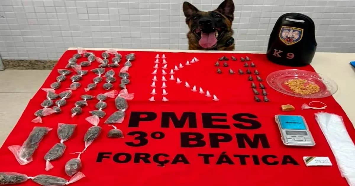 Operação K9 Desarticula Tráfico de Drogas no Sul do ES