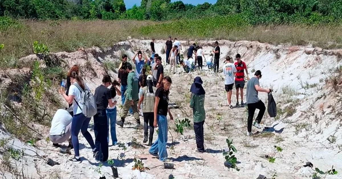 Restauração Ecológica: Alunos Plantam 200 Mudas no Parque Paulo César Vinha