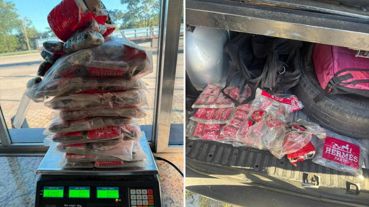 Haxixe de Luxo Apreendido em Operação Conjunta