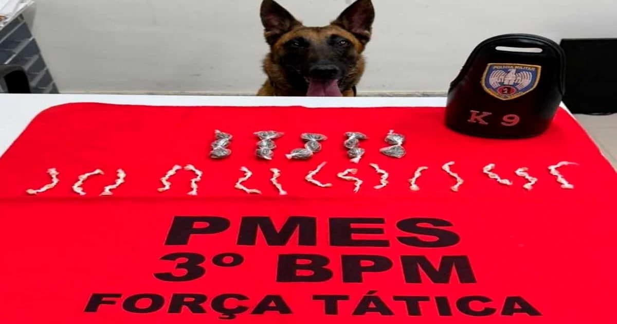 Operação antidrogas em Guaçuí resulta em apreensão significativa