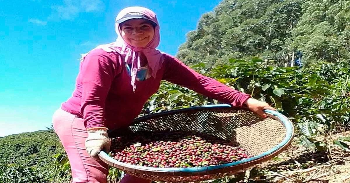Mulheres: O Coração da Agricultura em Muniz Freire