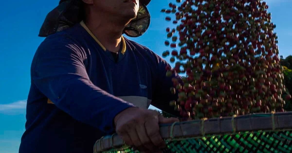 Produtores Rurais Capixabas: Adequação à Nova Jornada de Trabalho é Urgente