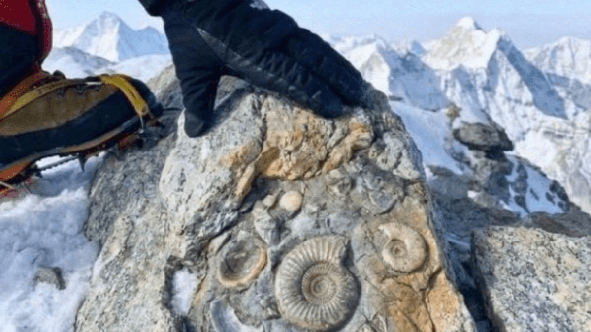 Monte Everest: A Montanha Mais Alta do Mundo Já Foi Fundo de Oceano