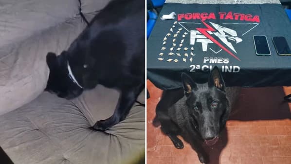 Operação Policial Desarticula Ponto de Tráfico em Afonso Cláudio