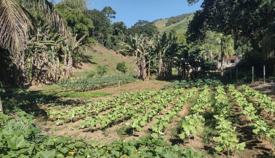 Cachoeiro Destina R$ 360 Mil para Projetos de Desenvolvimento Rural