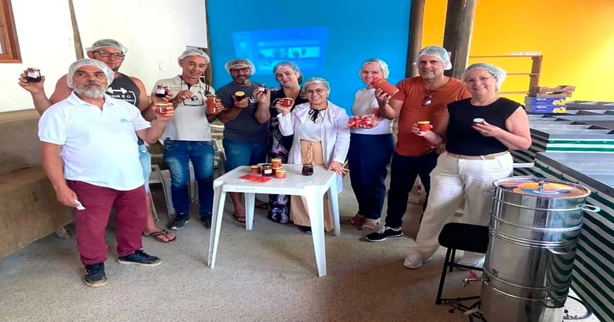 Agroindústria Capixaba: Inovação para Valorizar a Produção Rural