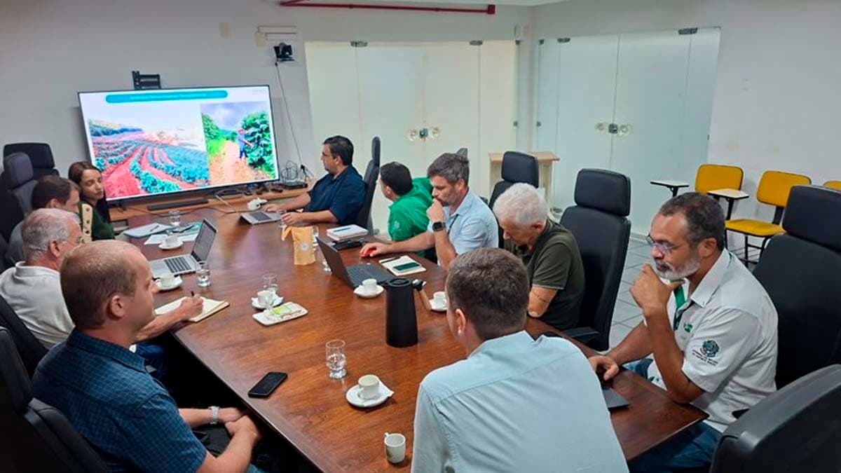 Espírito Santo Lidera Cafeicultura Global com Inovação Sustentável
