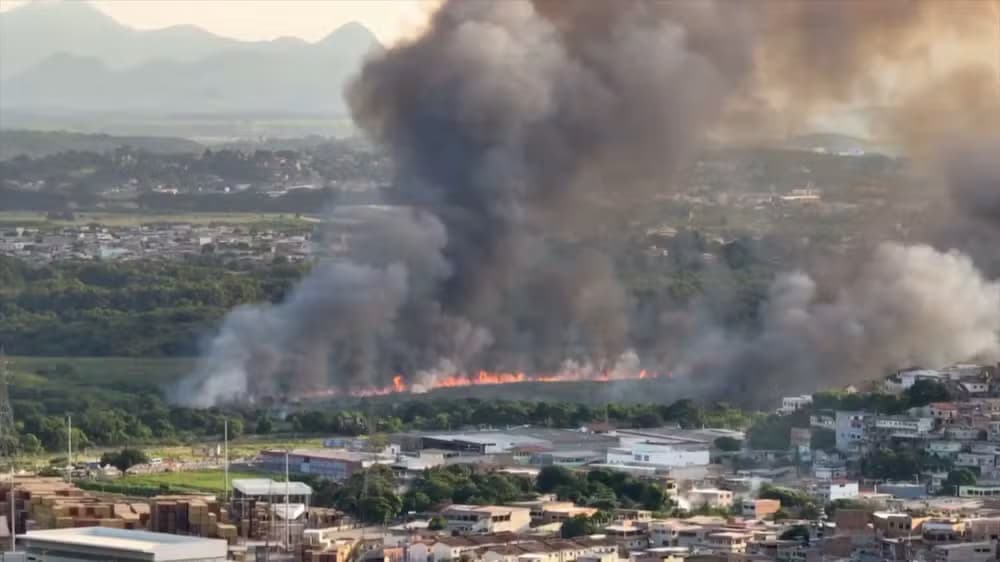 Incêndio de Grande Porte Consome Vegetação em Vila Velha