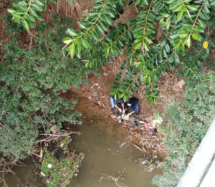 Corpo é encontrado em rio próximo à BR-101, na região de Safra, em Cachoeiro