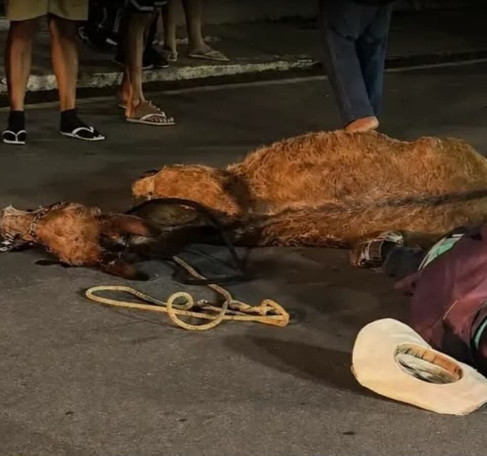 Cavalo Morto em Atílio Vivacqua Gera Indignação e Alerta para Crueldade Animal