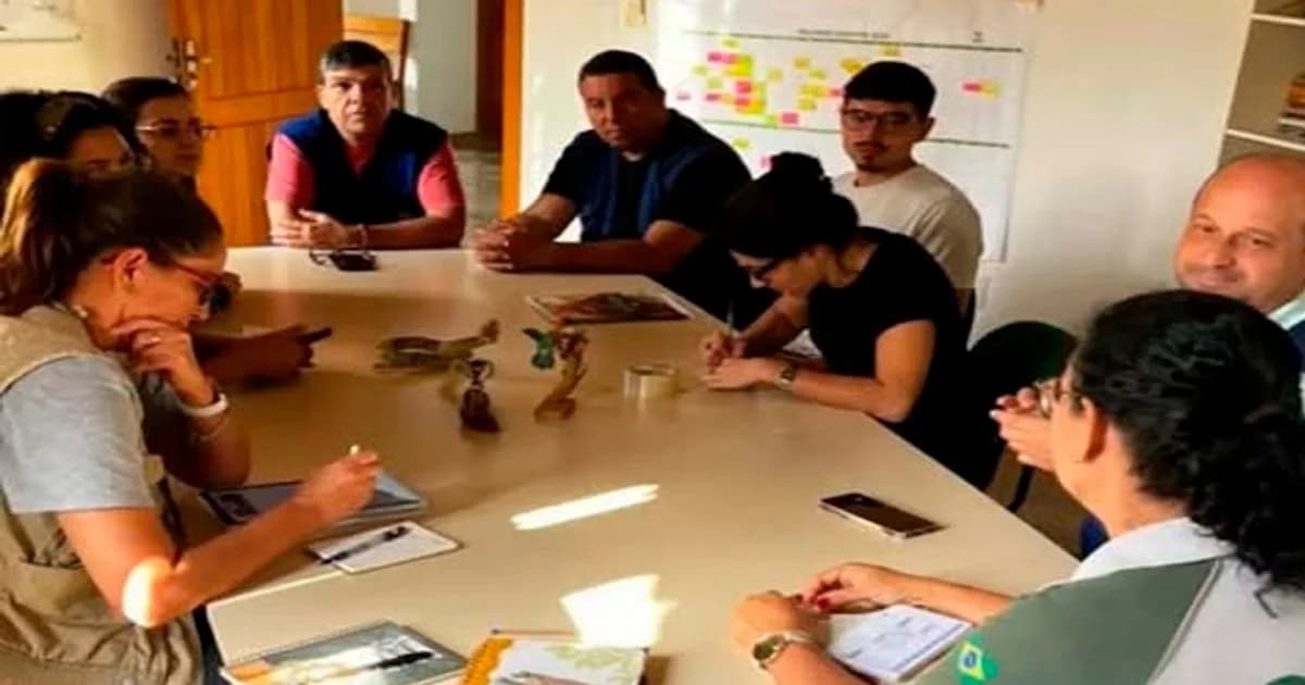 Mortandade de Macacos Alerta para Risco de Febre Amarela em Cachoeiro