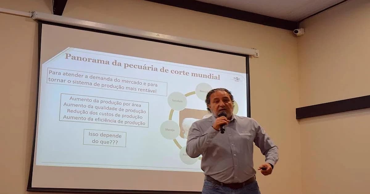 Touros Melhoradores: O Motor da Lucratividade na Pecuária de Corte