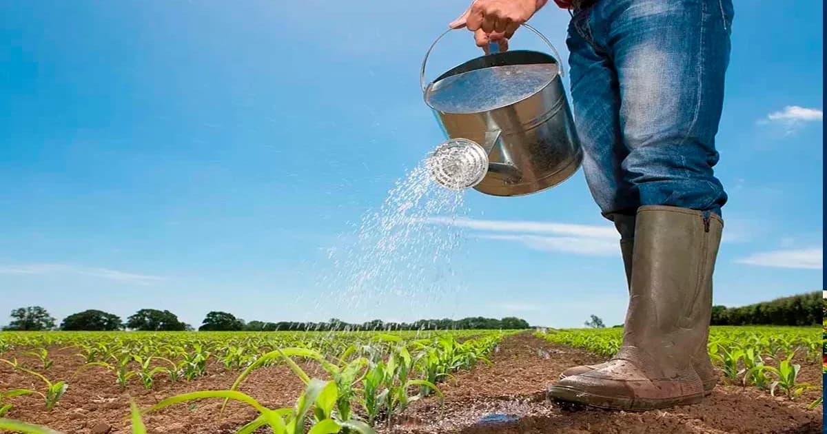 El Niño 2026/27: TCE-ES Fornece Guia Essencial para Preparação